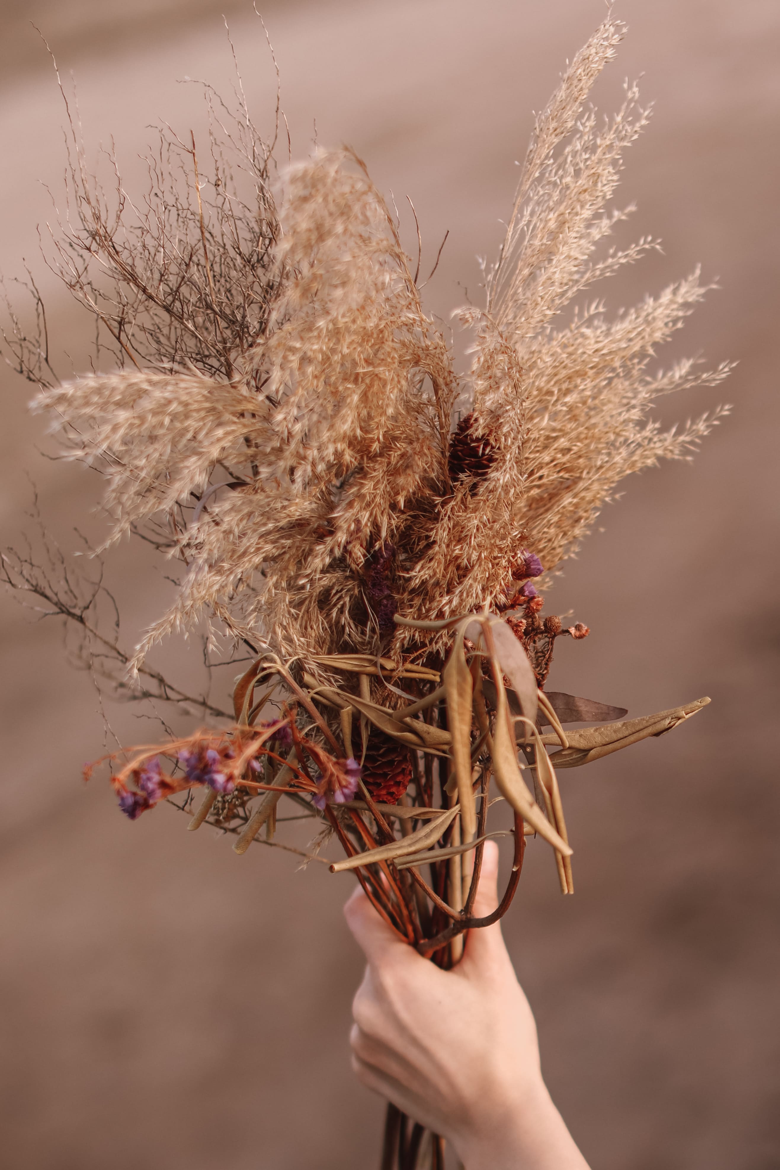 Paulas Trockenblumenbouquet